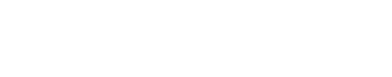 Logo for New York Time